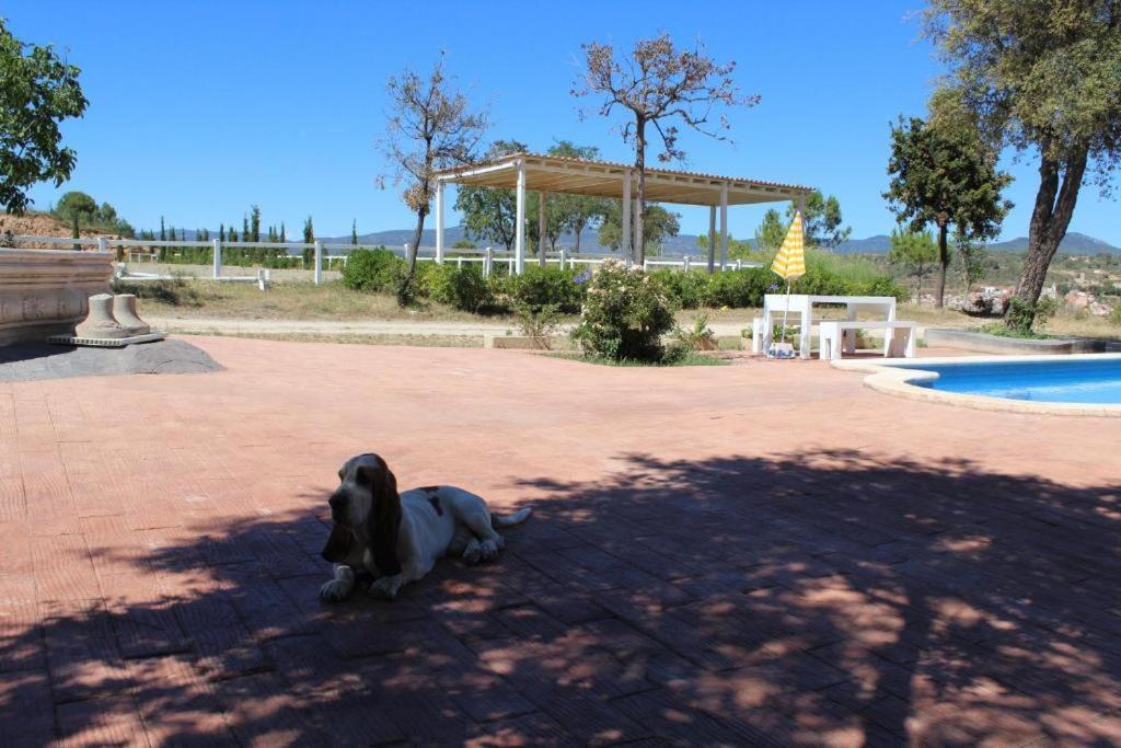 Vilarrodona Rocaplana Club De Campo酒店 外观 照片